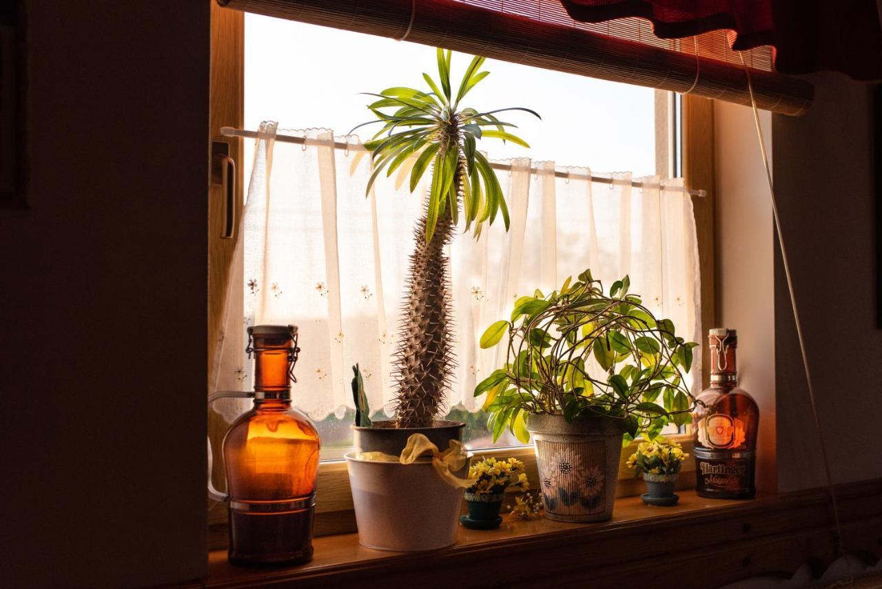 Hotel Andrea Wellness Garden Cserszegtomaj Zewnętrze zdjęcie